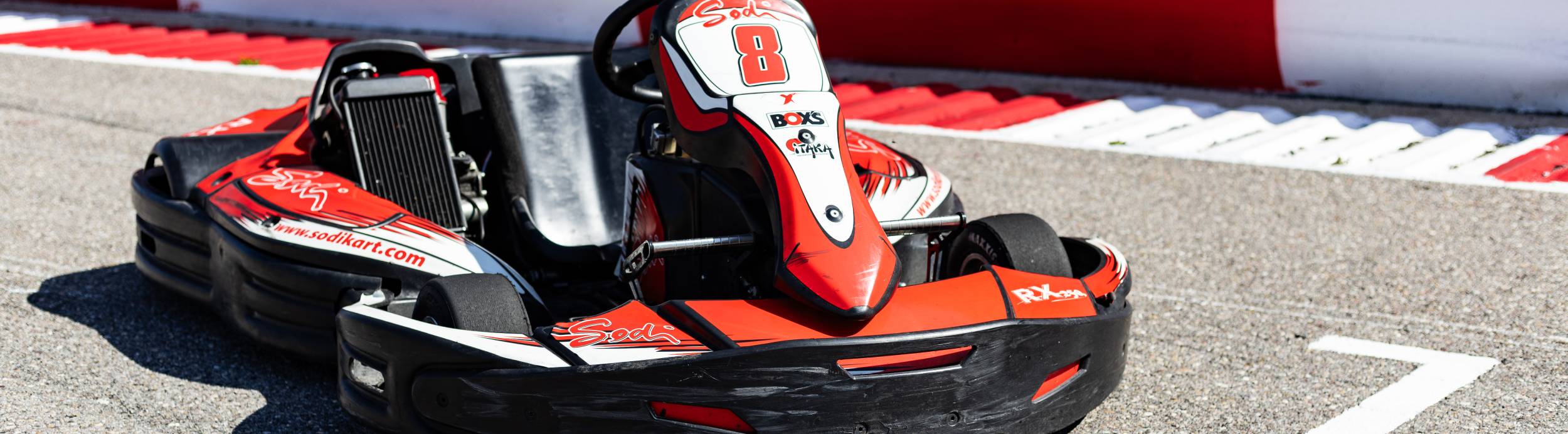 RX250 Kart RX250 Kart