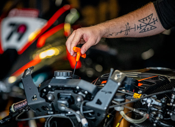 Freezeframe Photography